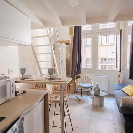 Nice Duplex Studio Ideal For Couple In Lyon! * Lyon