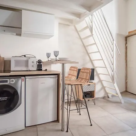 Nice Duplex Studio Ideal For Couple In Lyon! Apartment