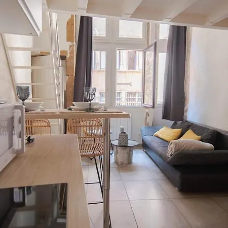Nice Duplex Studio Ideal For Couple In Lyon! Lyon