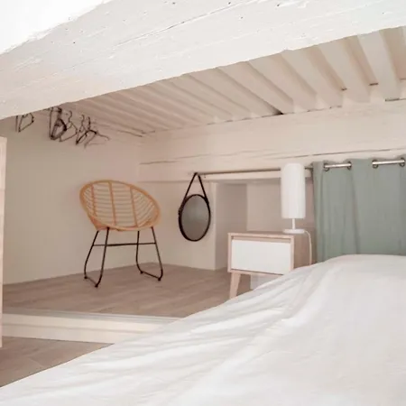 Nice Duplex Studio Ideal For Couple In Lyon! Lyon