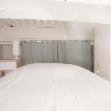 Apartment Nice Duplex Studio Ideal For Couple In Lyon! Lyon